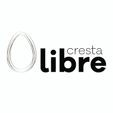 logo-02